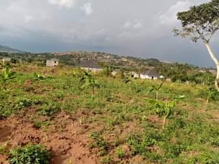 A picture of Commercial and Residential plots for sale
