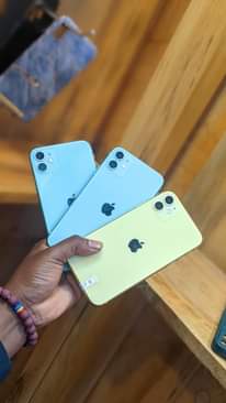A picture of iPhone 11 plain