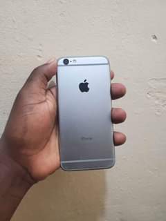 A picture of IPhone 6 plain