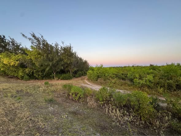 A picture of PREMIUM DEVELOPMENT LAND FOR SALE IN JAMBIANI ZANZIBAR
