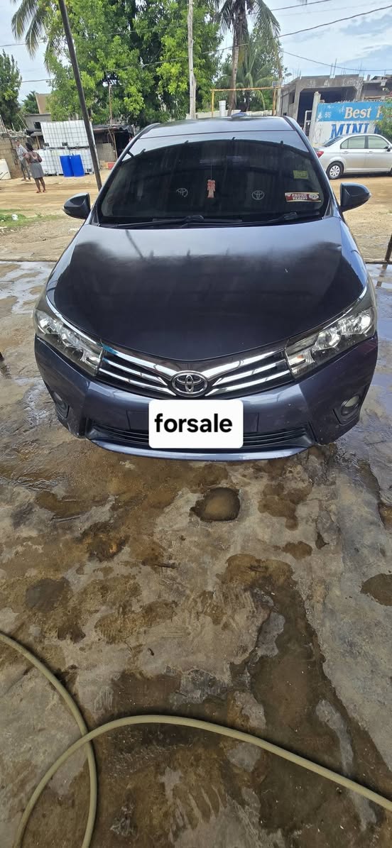 2015 cars