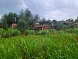 A picture of Am selling my plot at wakiso kasegejje at 2 5m