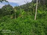 A picture of 50 100 at Wakiso Bakka on sale 6M contact me