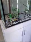A picture of AQUARIUM INAUZWA KWA NAFUU