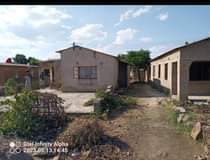 house rent