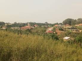 A picture of 9m Quick sale 9m 40by40ft located at matugga just 1.5km