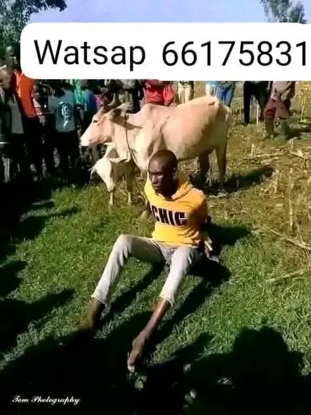 A picture of Kaze kwamuganga makoma 1 kubibwe turabagaruriza 2 kubafise inyatsi yokutaronka