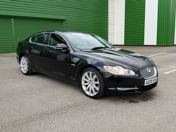 jaguar