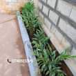 A picture of DESIGN WITH US YOUR COMPOUND outdoor bench building paver installation
