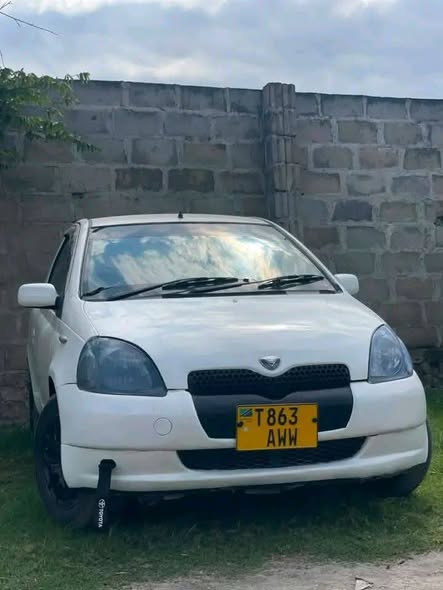 A picture of Vitz