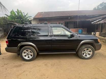 A picture of 2004 Pathfinder 2007
