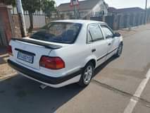 Tshepo M.