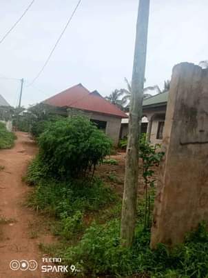 A picture of KIWANJA CHANIKA