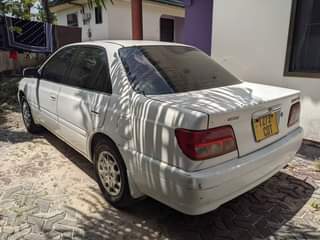 A picture of Vitz
