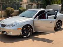 A picture of registered es 330 for sale if you re interested please