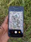 A picture of Samsung Galaxy grand prime pro mpyaaa saan gb16 ram2 net4g