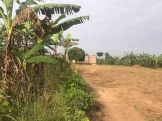 Ssentumbwe B.
