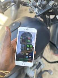 A picture of IPHONE 8 PLUS
