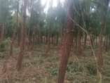 A picture of Plot of land at kakiri for sale