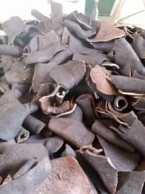 A picture of Pomo ijebu