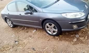A picture of Peugeot 407 neat and clean