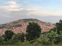 Hama C.