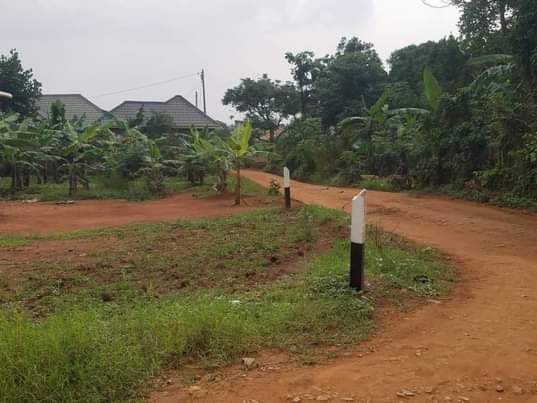A picture of Land