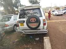 A picture of Tx prado