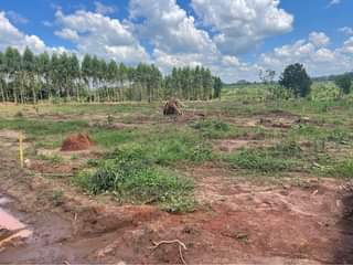 A picture of 50X100ft affordable plots for sale in Kakiri