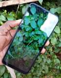 A picture of INFINIX HOT 10 LITE