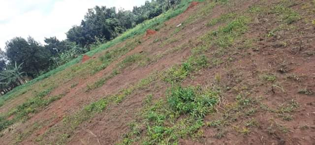 A picture of AFFORDABLE PLOTS FOR SALE IN GOBERO