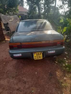 A picture of 4 3m 0705835212