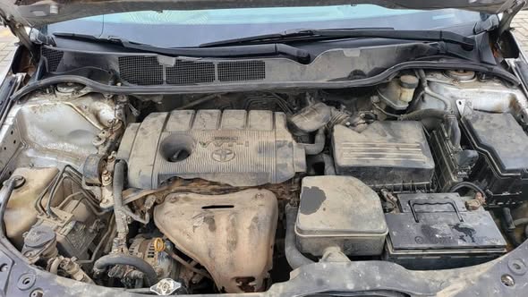 A picture of 2010 Toyota venza