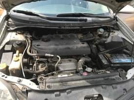 A picture of Clean Nissan Primers First body