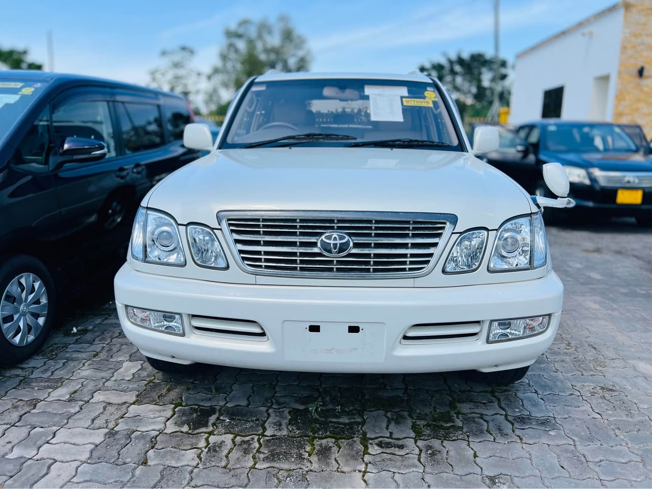 A picture of Land Cruiser Amazon