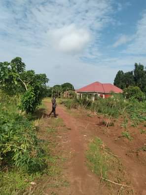 A picture of ANTI MR PROPERTY MANAGEMENT PLOT FOR SALE LOCATED AT KASANJE