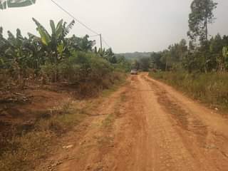 A picture of 5m Quick sale 5m 50by40ft located at matugga migadde off