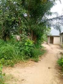 A picture of ENEO LINAUZWA MILION 12 LIPO CHANIKA