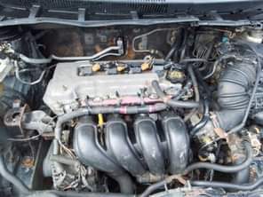 A picture of 2009 Toyota Corolla With good Engine Gear Sweet interior Price