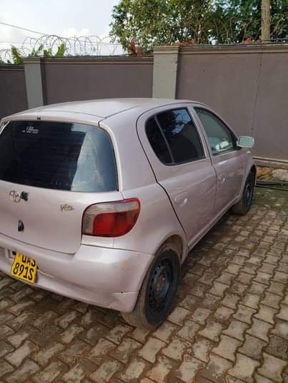 A picture of Vitz