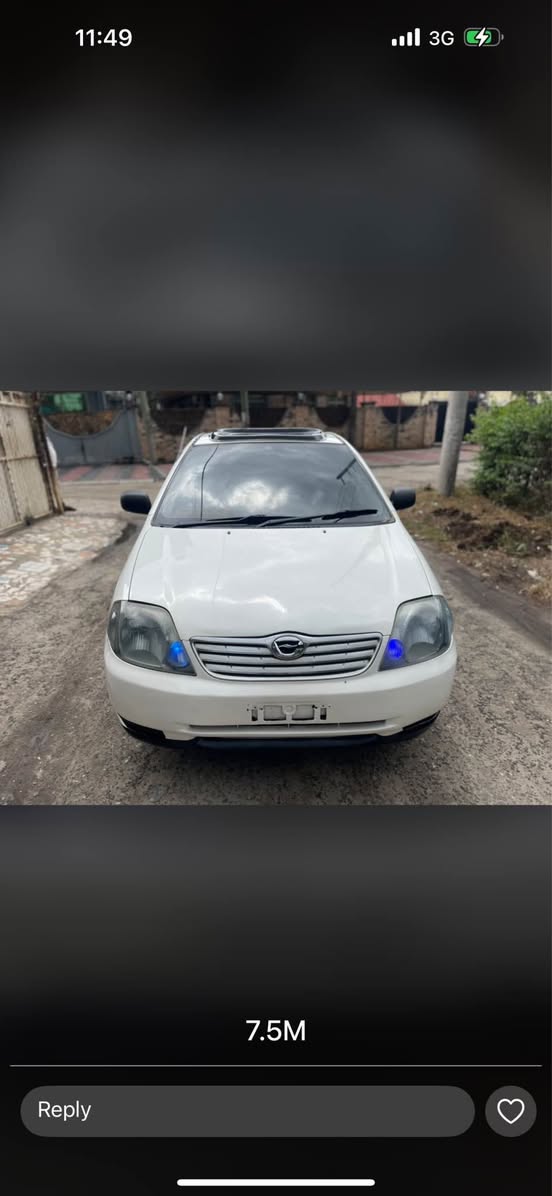 A picture of 0653631543