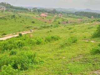 A picture of KAKIRI KIKANDWA ESTATE 50BY100 WITH READY LAND TITLE AT 12M