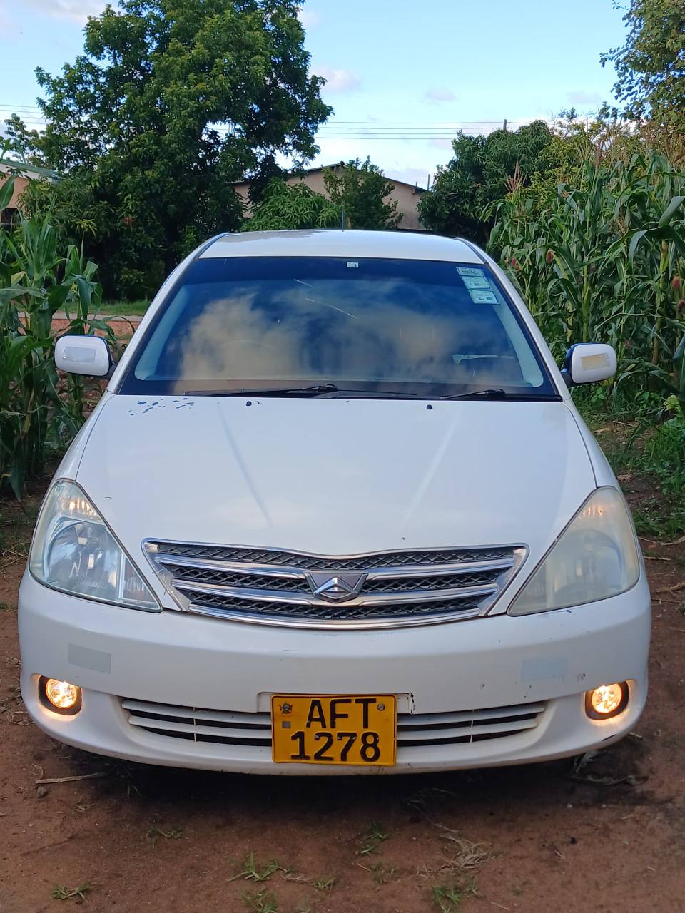 used toyota allion