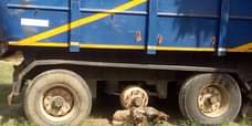 A picture of 2008 Trela Tipping trailer