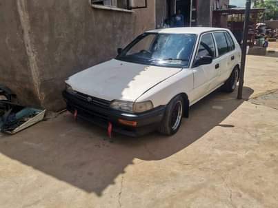LIMPOPO V.