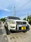 A picture of Toyota Prado