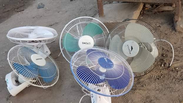 fans
