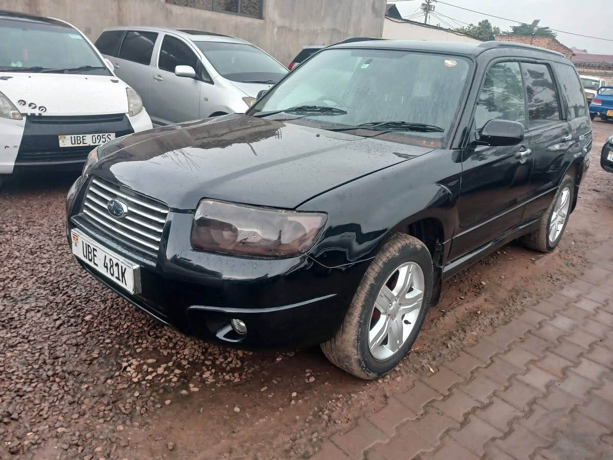 A picture of Forester