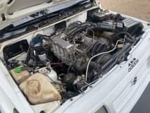 A picture of Escudo short
