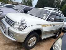 A picture of Landcruiser Prado TX 30m
